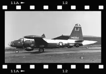 vp23_bird.webp