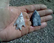 0401131241a.webp