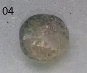 Sem título005.webp