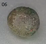 Sem título007.webp