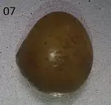 Sem título008.webp
