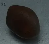 Sem título018.webp