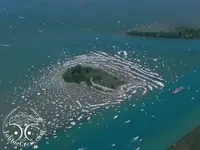 Jobbie_Nooner_Gull_Island_Lake_St__Clair_zpspwnq6bi6.webp