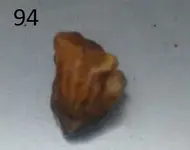 Sem título072.webp