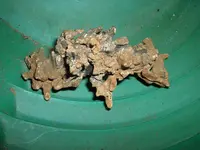DSCF0001(1).webp