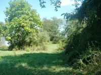 DSCF0002.webp
