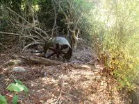 DSCF0003.webp