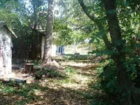 DSCF0005.webp