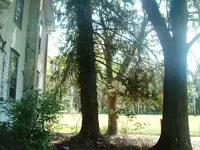 DSCF0007.webp DSCF0007.webp