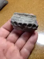 pottery 3.webp