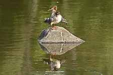 K1600_IMG_3691.webp
