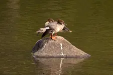 K1600_IMG_3729.webp