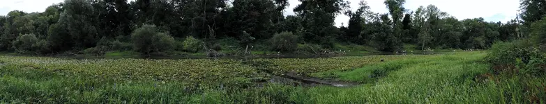 K1600_DSCN4910.webp