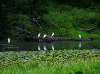 K1600_DSCN4901.webp
