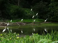 K1600_DSCN4920.webp