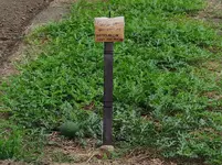 K1600_DSCN4944.webp