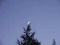 DSCN9944.webp