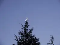 DSCN9945.webp