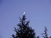 DSCN9946.webp