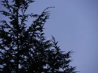 DSCN9947.webp