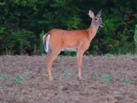 K1600_DSCN4591.webp