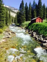image.webp
