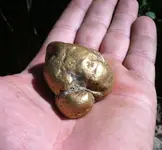 gold.webp