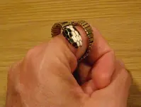 serpent04.webp serpent04.webp