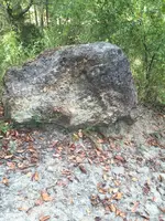 ImageUploadedByTreasureNet.com1473812821.622948.webp