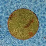 20160831_164543.webp