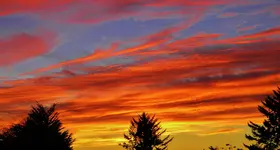DSCN0998.webp