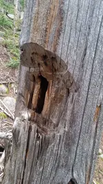 20160730_171658.webp