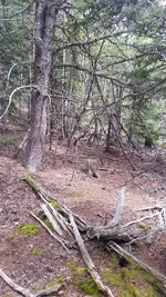 20160730_152753.webp