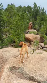 20160730_162728.webp