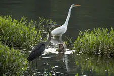 K1600_IMG_3968.webp