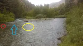 1469996955096.webp