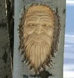 1 - 13  - 8 003_RT8.webp