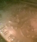 !!!!PRF001.webp
