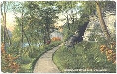 williamsport 1916 Lovers Lane , Devils Cave, Williamsport, PA.jpg
