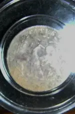 DSCN3706.webp
