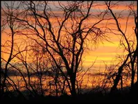 sunset.webp