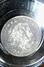DSCN3705.webp