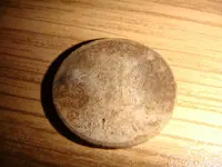 DSC00980.webp