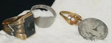 ring nov.webp