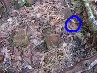 Copy of Brick picture Medium Web view.webp