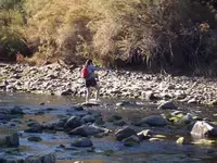 100_2609.webp