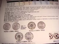 6.webp