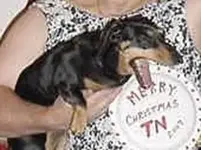 MM s Dog.webp
