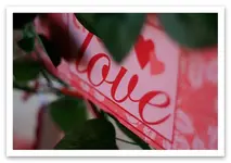 love.webp