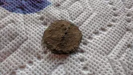 IMG_20160929_174007.webp